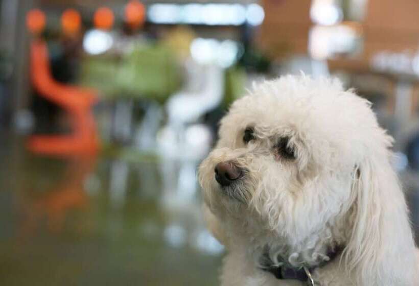 هتل Indigo Asheville Downtown, An Ihg