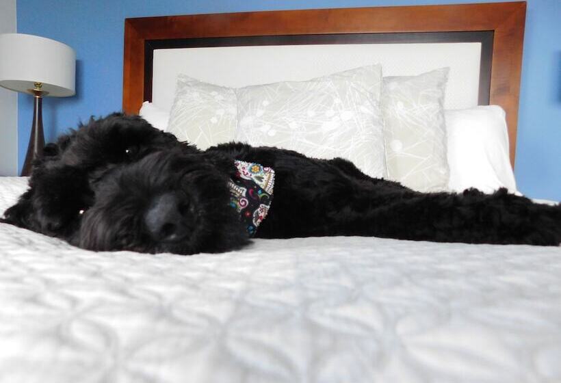 فندق Indigo Asheville Downtown, An Ihg