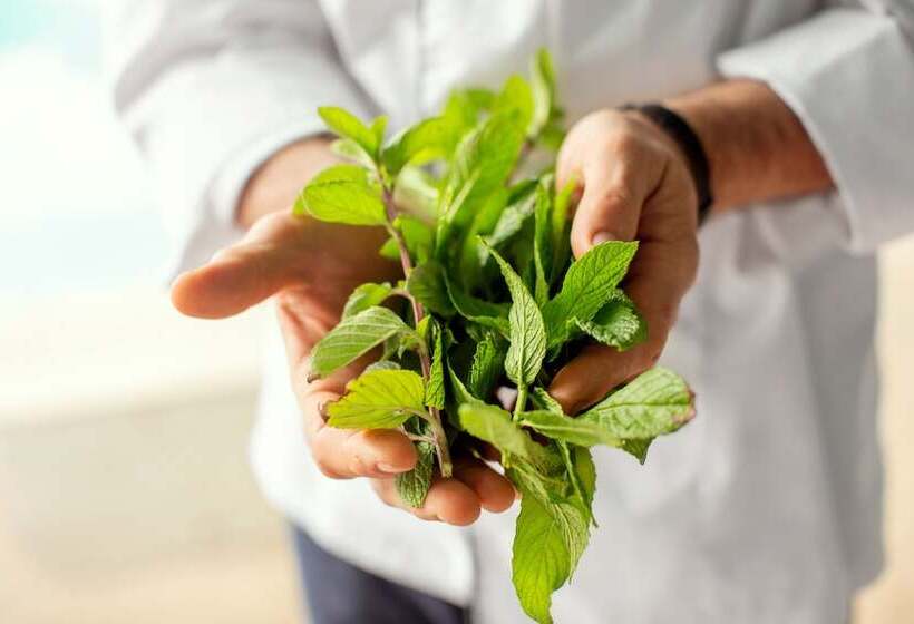 酒店 Mediterranean Resort