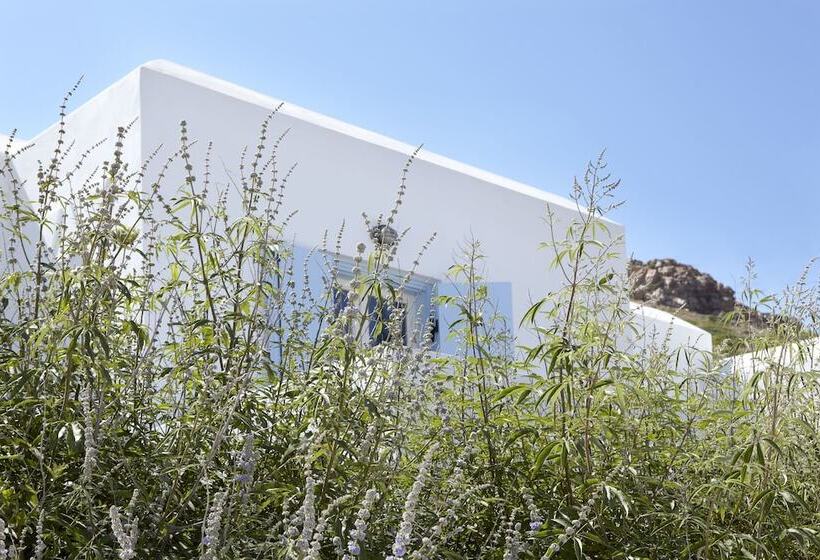 Отель Mediterranean