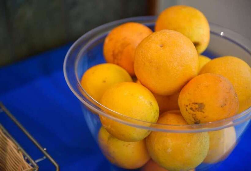 בית מלון כפרי Palazzo