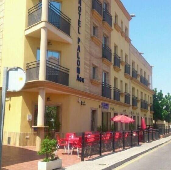 בית מלון כפרי Paloma