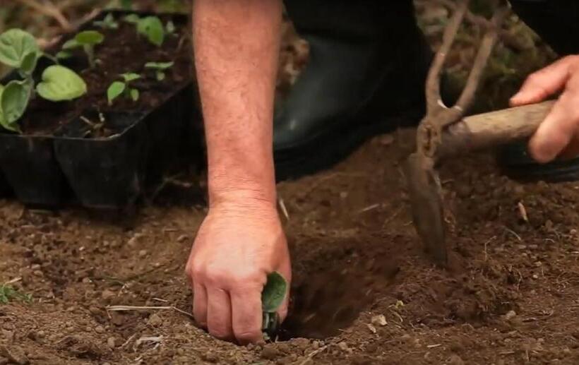 هتل روستایی Quinta Da Meia Eira