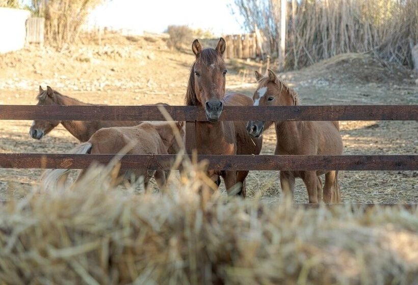 هتل Skiros Palace