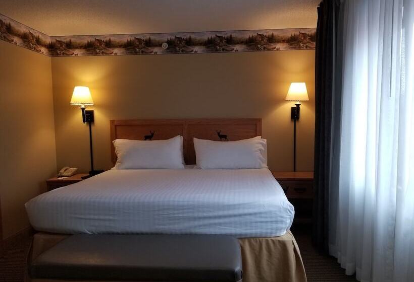 酒店 Splash Universe Resort