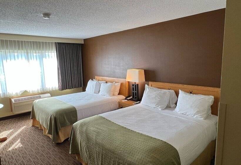 酒店 Splash Universe Resort