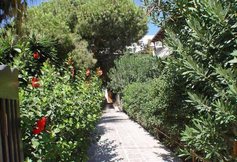 בית מלון כפרי Sunset