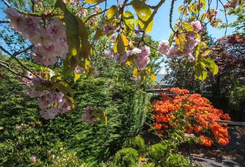 호텔 Windermere Suites