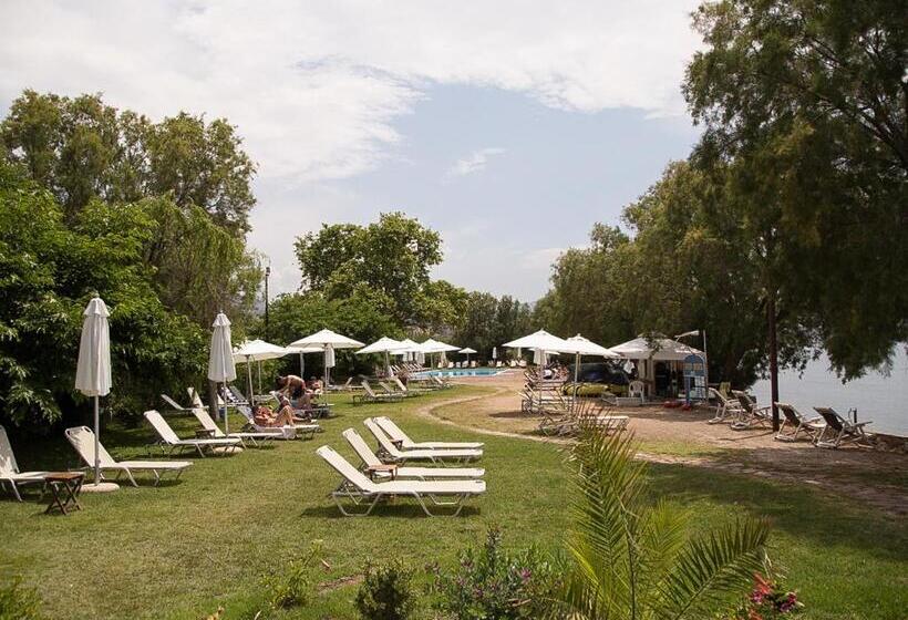 Olive Press Hotel & Apartments