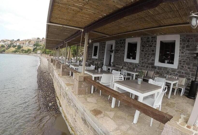 Olive Press Hotel & Apartments