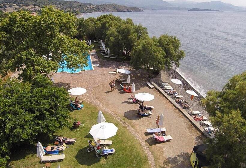 Olive Press Hotel & Apartments