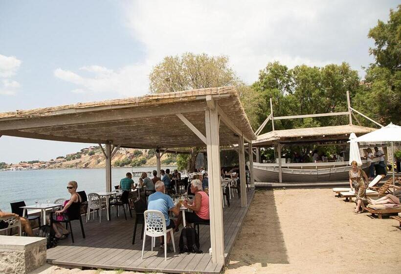 Olive Press Hotel & Apartments