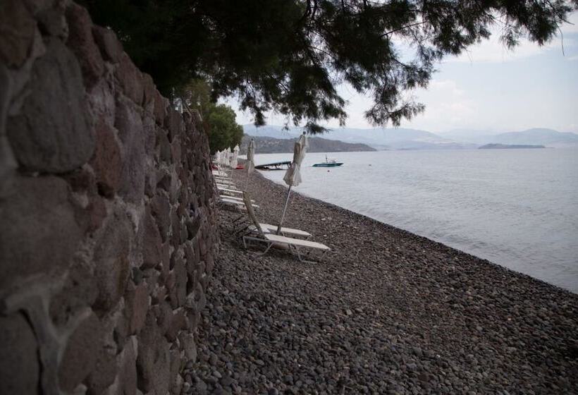 Olive Press Hotel & Apartments