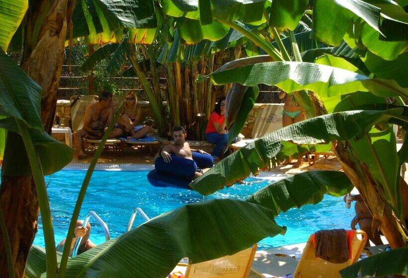 Paradise Lost Hotel Apartments