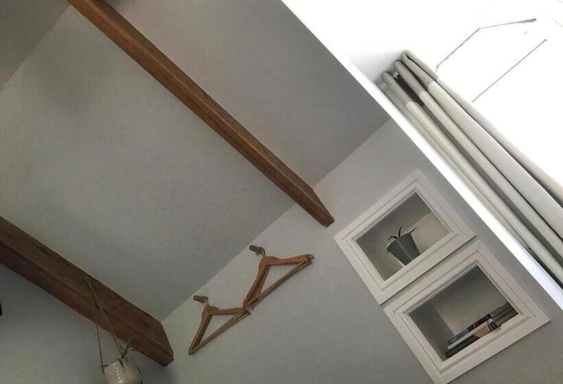 הוסטל Selkies Nqy