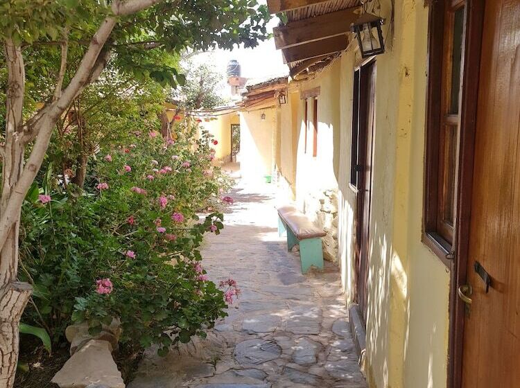 펜션 Andino Hostel