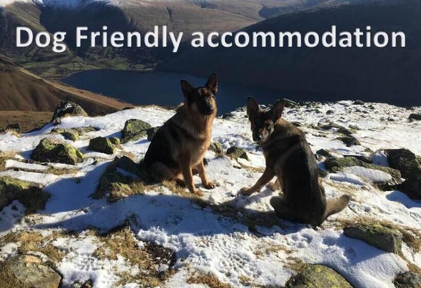 הוסטל Gosforth Hall Inn