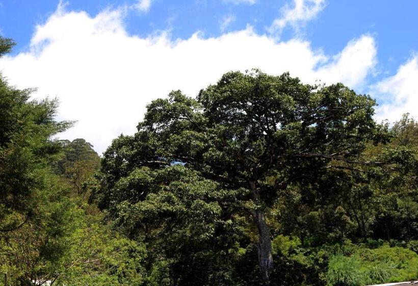 ユースホステル Queens Rest Inn