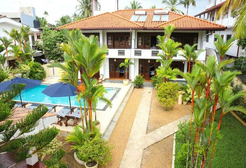 旅馆 Sky And Sand Guesthouse