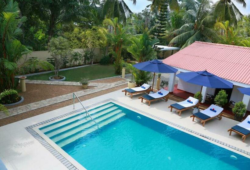 旅馆 Sky And Sand Guesthouse