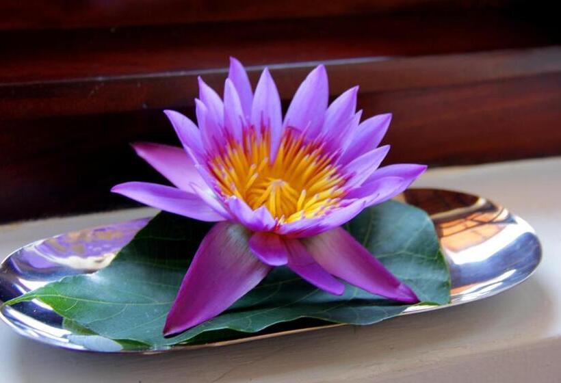 旅馆 Sky And Sand Guesthouse