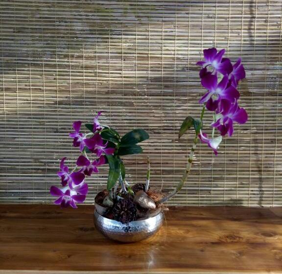 旅馆 Sky And Sand Guesthouse