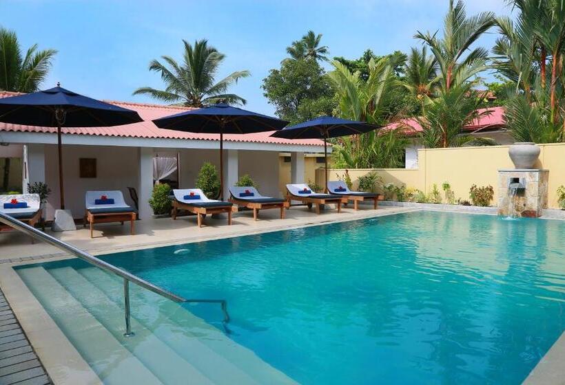 旅馆 Sky And Sand Guesthouse