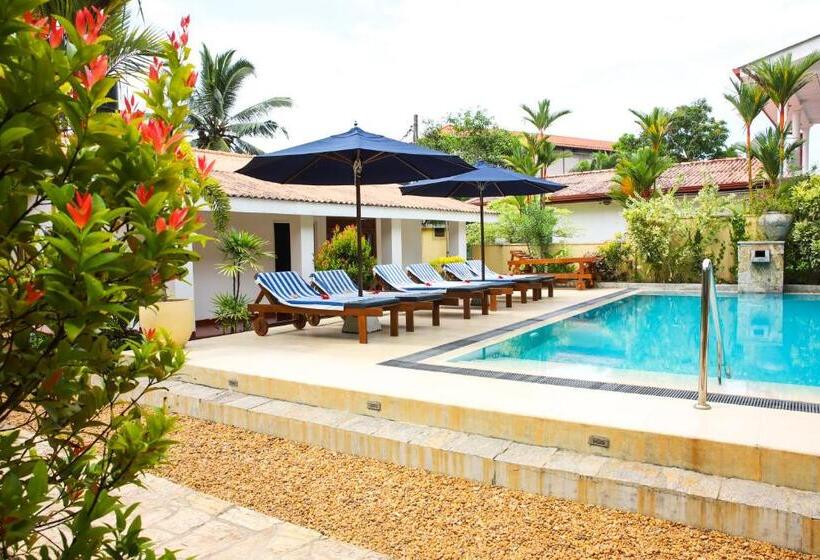 旅馆 Sky And Sand Guesthouse