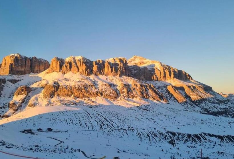 بنسيون Affittacamere Blank