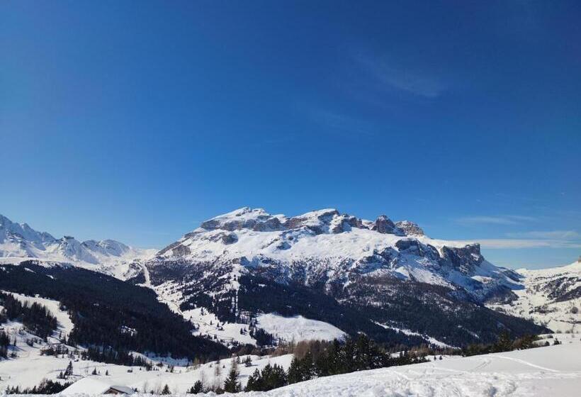 بنسيون Affittacamere Blank