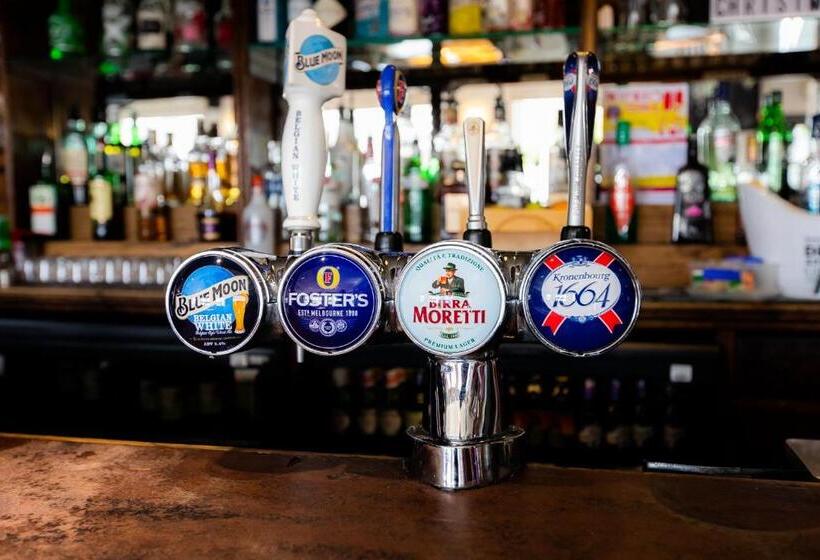 호스텔 Blue Boar Inn