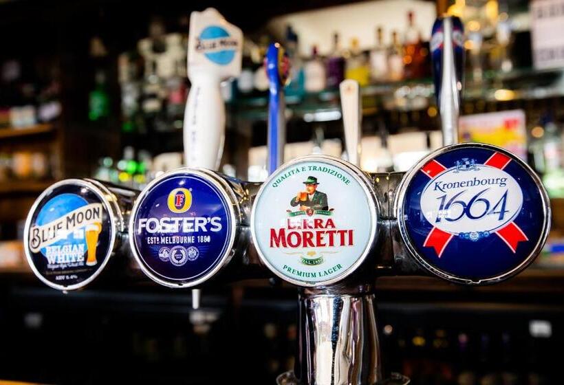 호스텔 Blue Boar Inn