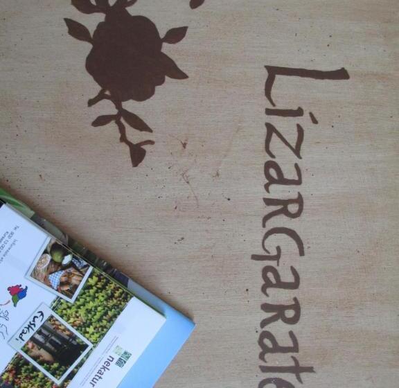 هتل Lizargarate