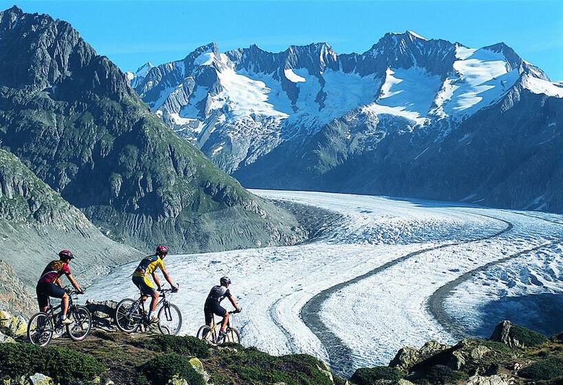 צימר Serviced Apartments Wallis