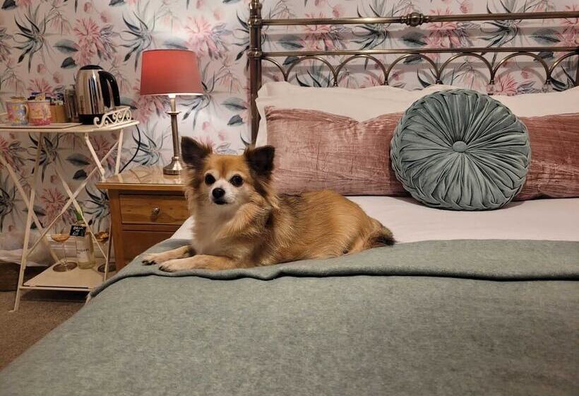 住宿加早餐  All Seasons Boutique Hotels