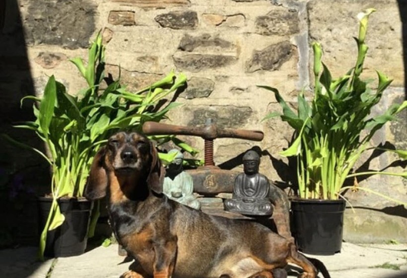 민박 Martin S Guesthouse