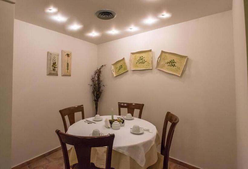 City Hotel Apollonion