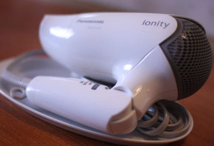 Hakata Green Hotel Tenjin