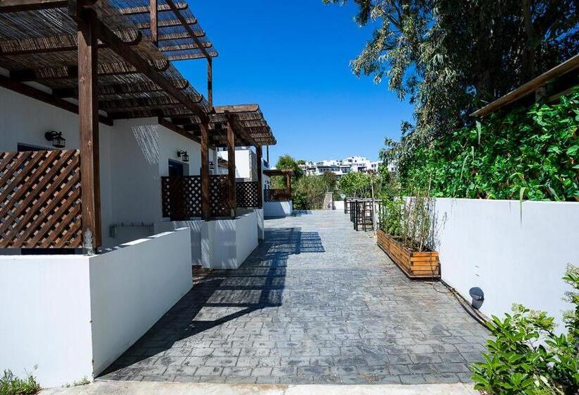 فندق Alexandros By The Beach   Serifos