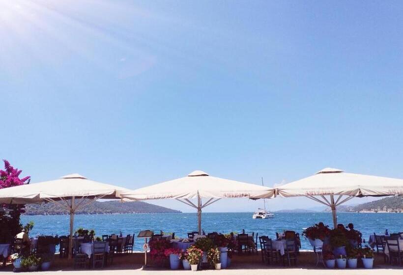 בית מלון כפרי Amvrakia