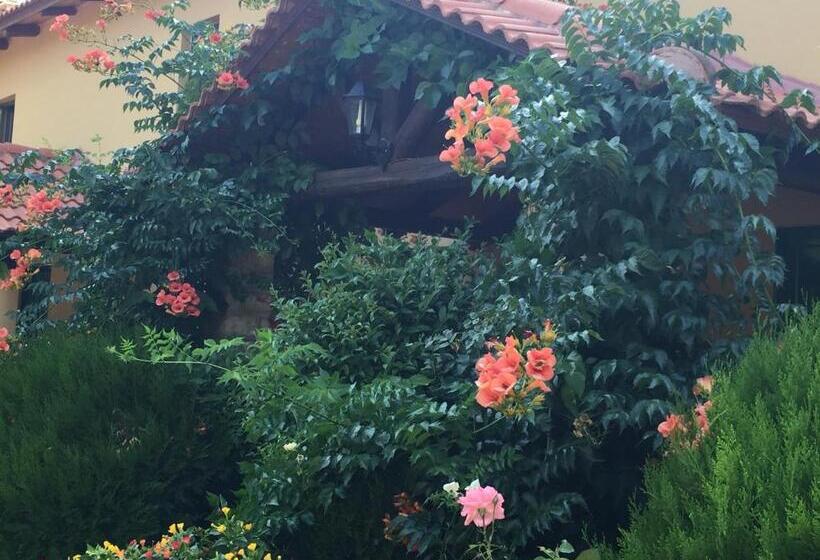 ホテル Aphrodite's Inn Kalavrita