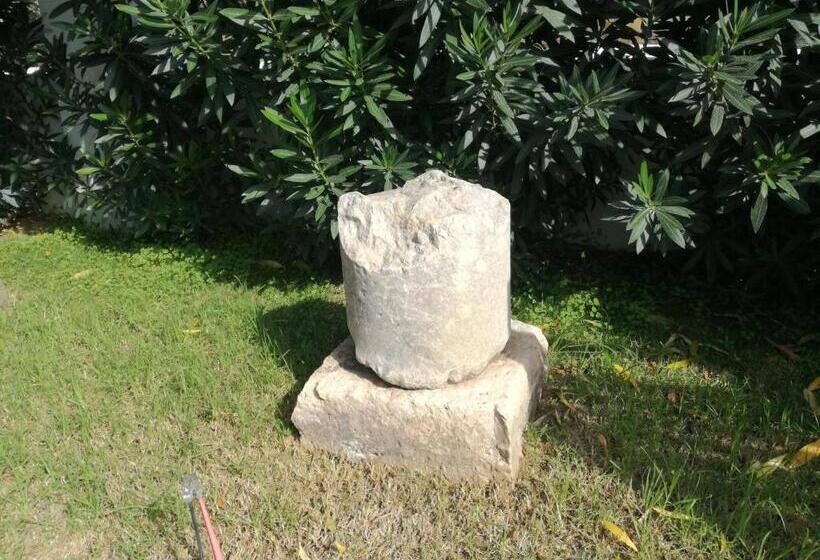 ホテル Apollon Resort