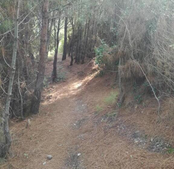 ホテル Apollon Resort