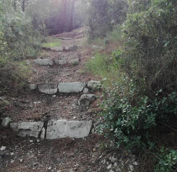 ホテル Apollon Resort