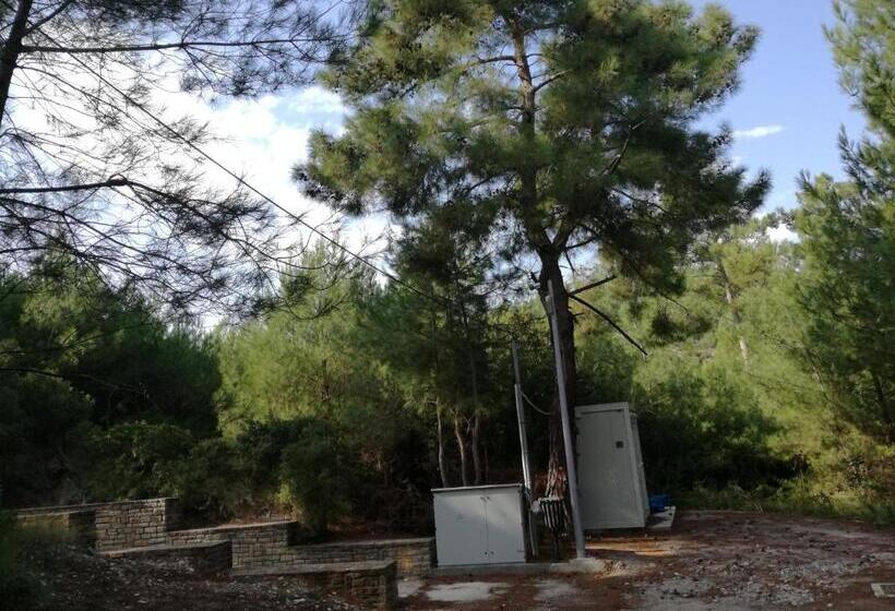 ホテル Apollon Resort