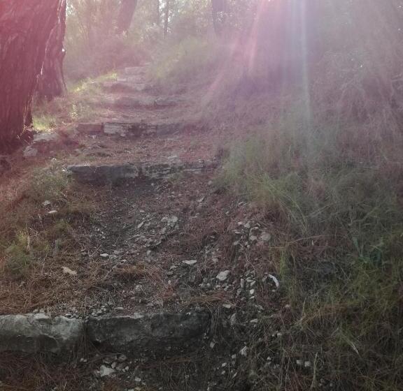 ホテル Apollon Resort