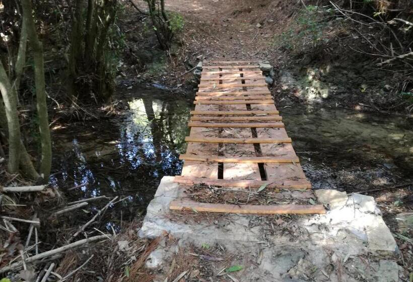 ホテル Apollon Resort