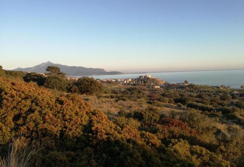 ホテル Apollon Resort