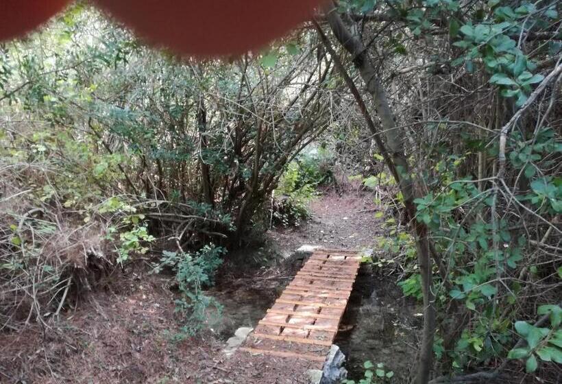 ホテル Apollon Resort