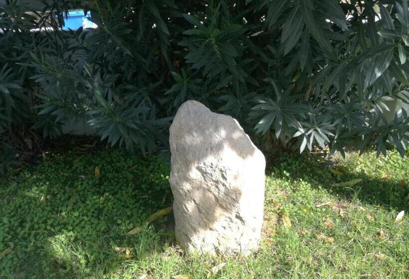 ホテル Apollon Resort